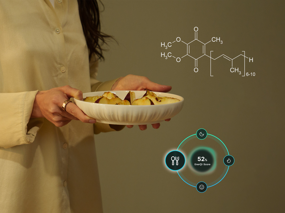 How CoQ10 Boosts Cellular Energy (And How to Track Its Effect on Your EnerQi Score)