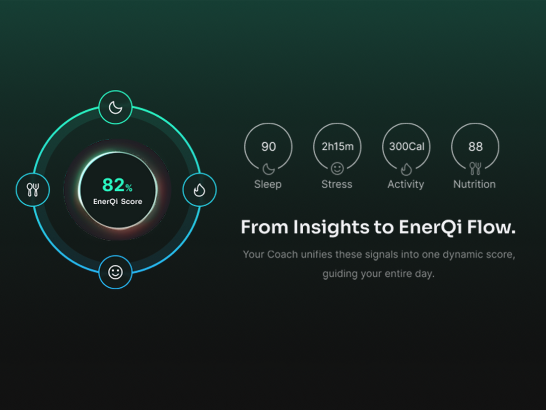 Chapter 1: Your Real-Time Guide: The EnerQi Score & The EnerQi Flow
